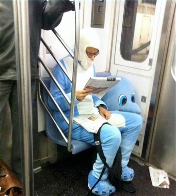 subway30-dolphin