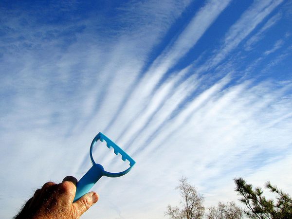 optical illusions god is a gardener 