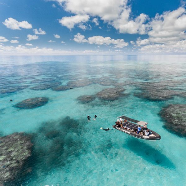 optical illusions on the big blue
