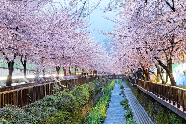 busan south korea 