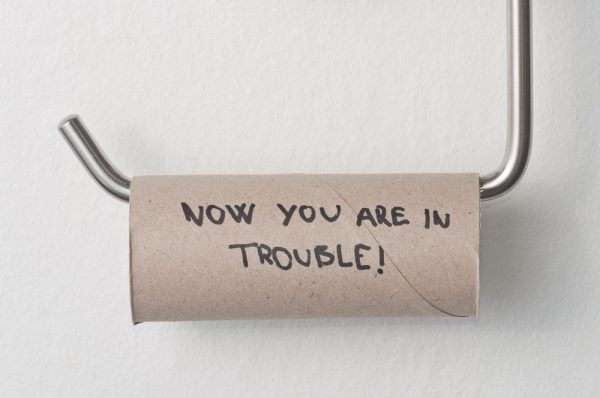 toilet paper rolls 